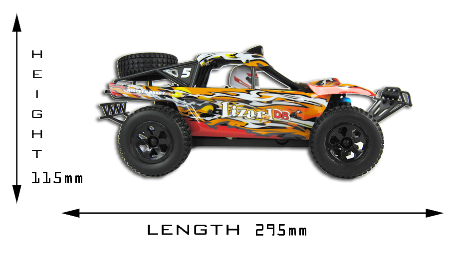 Lizard 1/18th Scale 4WD Electric RC Trophy Truck - 2.4Ghz